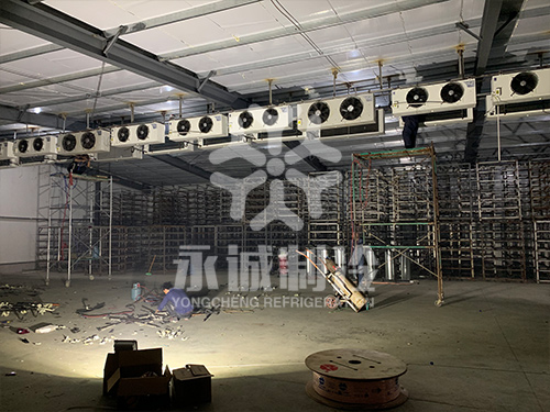 江蘇食用菌庫房改造現(xiàn)場(chǎng)